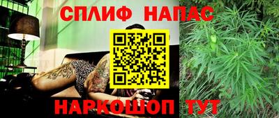 ешки Бийск