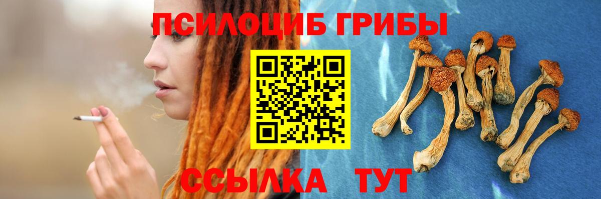 Галлюциногенные грибы Psilocybine cubensis Кимовск