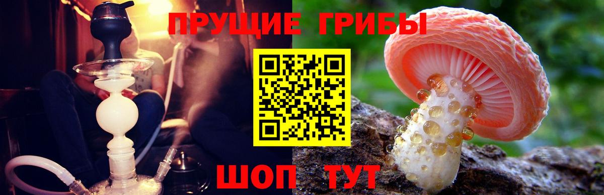 Псилоцибиновые грибы мицелий  Вход с VPN  Псилоцибиновые грибы Psilocybine cubensis  Кимовск 