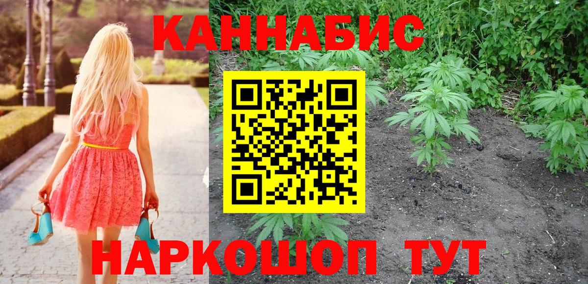 Бошки Шишки семена Кимовск